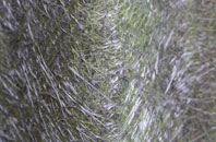 Harpur Hill fibreglass roof work